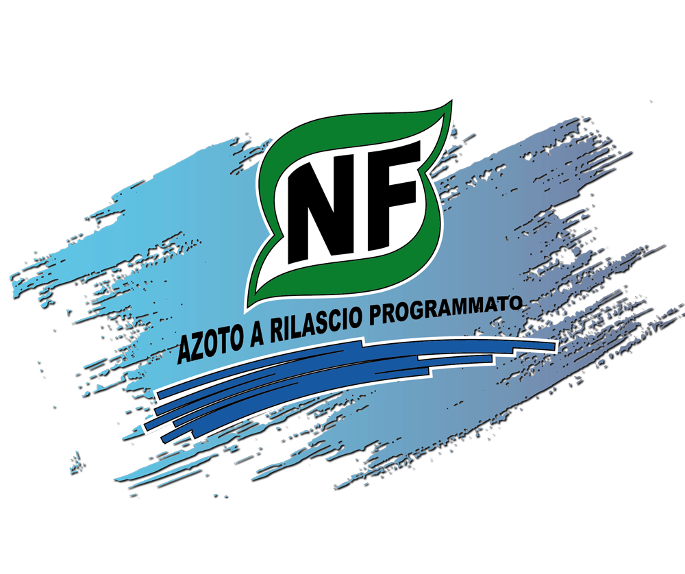 NF e la disponibilità dell'azoto con l'attività radicale (biodisponibilità di tipo microbiologica).